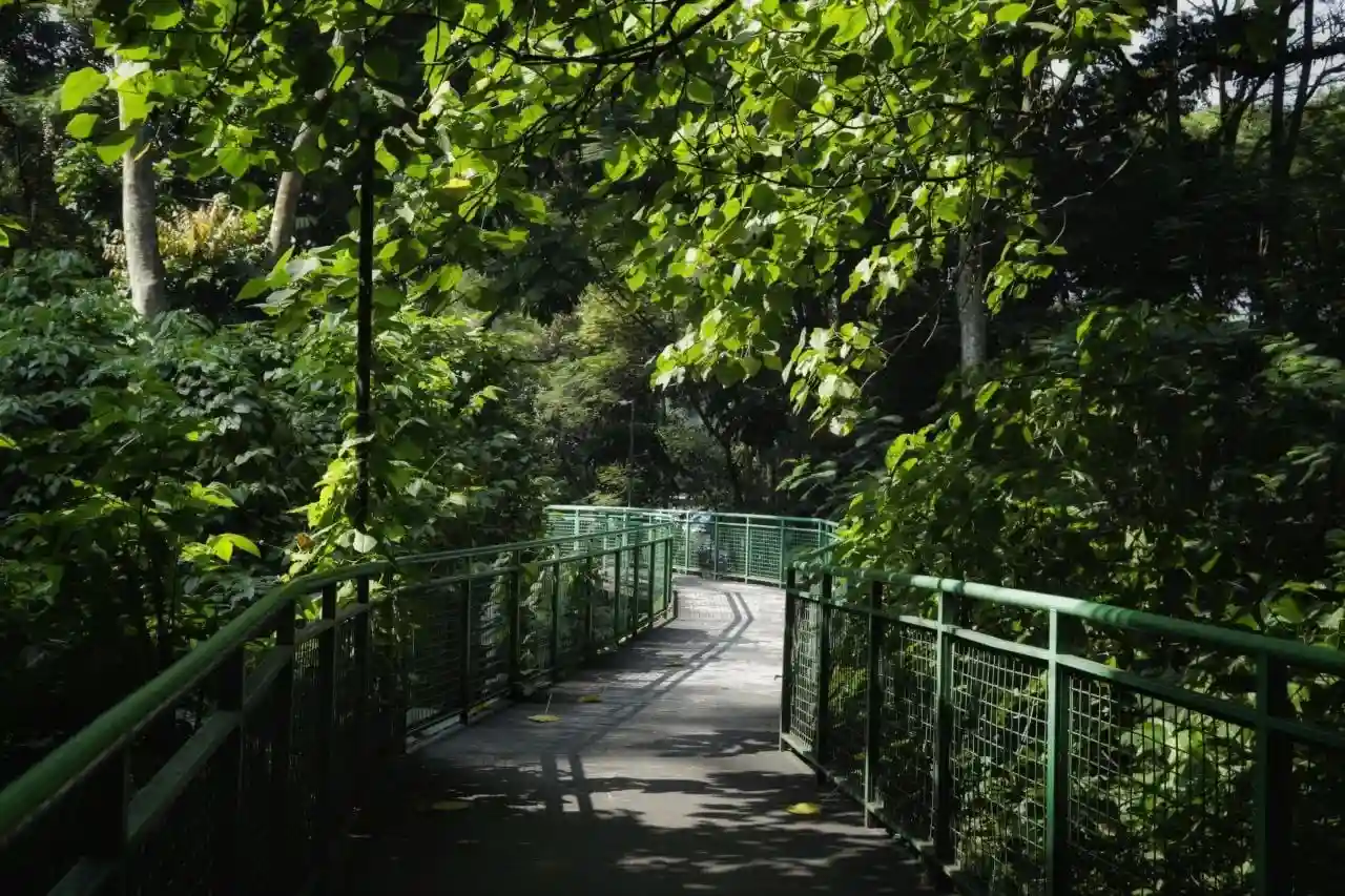 Hutan Kota Babakan Siliwangi