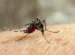 cara menghilangkan nyeri sendi akibat chikungunya
