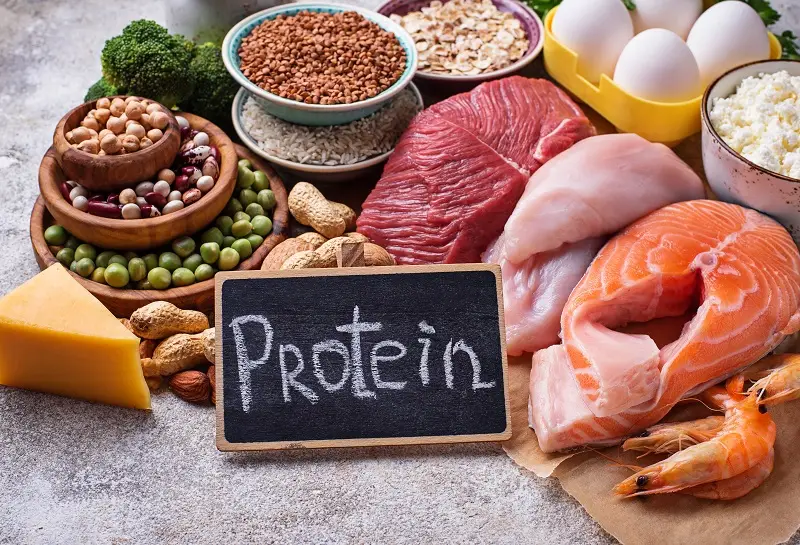 makanan sumber protein