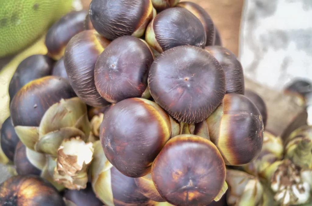 manfaat buah lontar