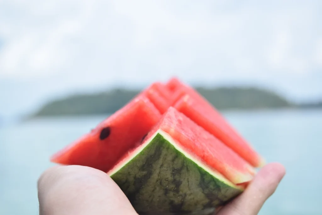 manfaat buah semangka
