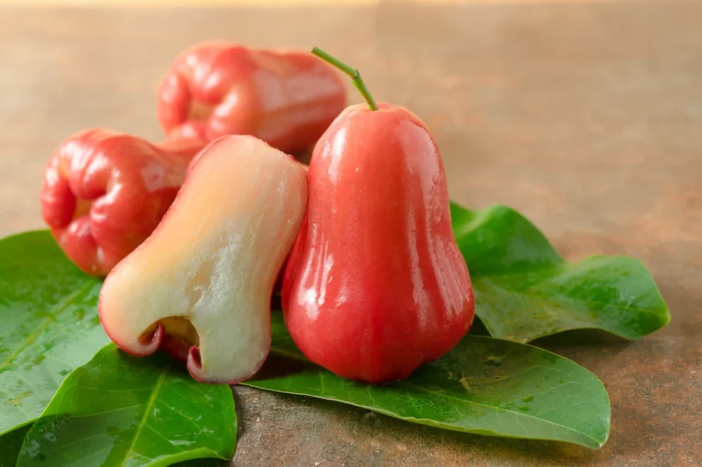 manfaat jambu air