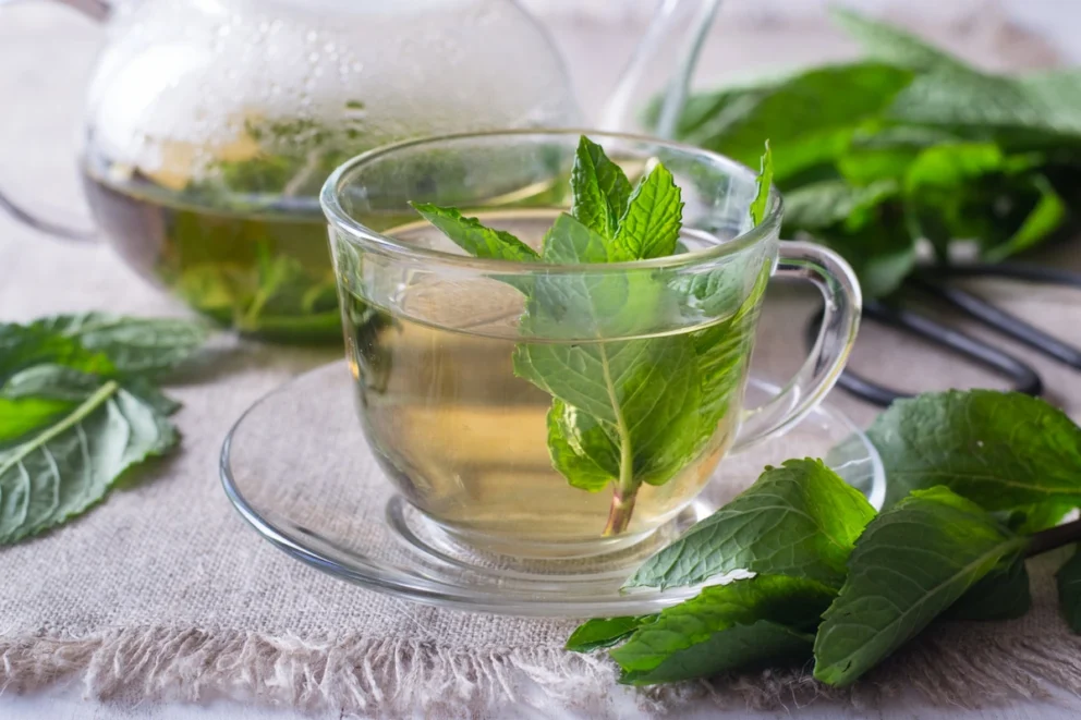 manfaat teh peppermint