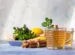 minuman herbal untuk daya tahan tubuh