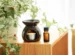 minyak angin aromatherapy