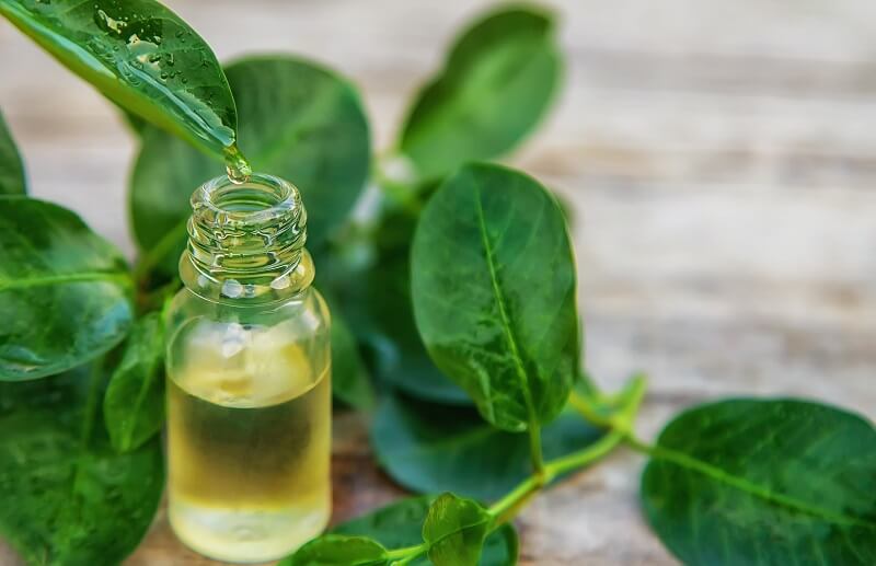 rekomendasi minyak aromaterapi