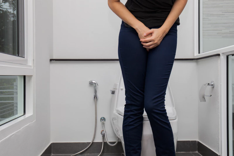 proses pembentukan urine