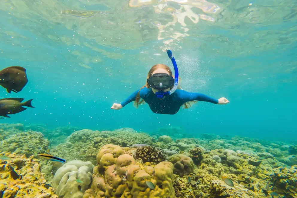 tips snorkeling pertama kali