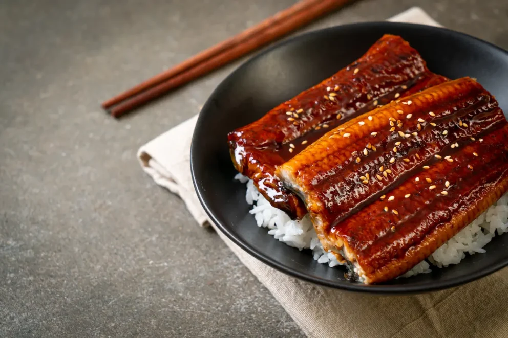unagi jakarta